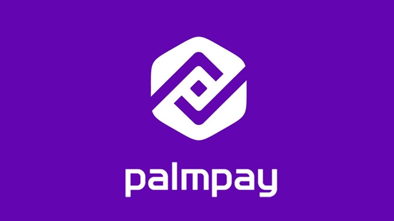 How Can I Borrow Money From PalmPay In 2024?