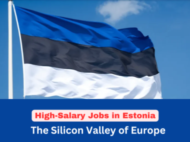 High-Salary Jobs in Estonia