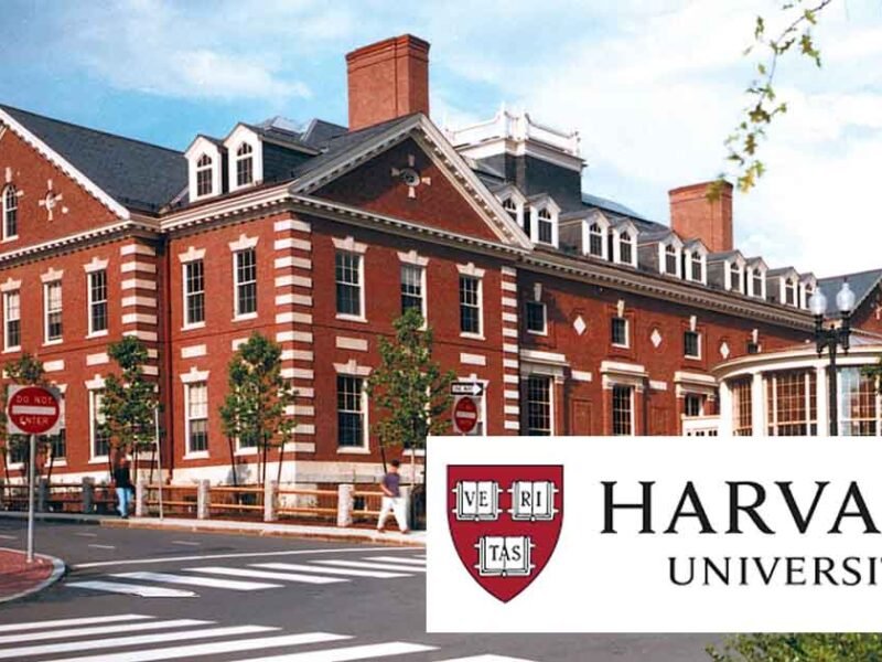 Harvard's 2025 Environmental Fellows Program