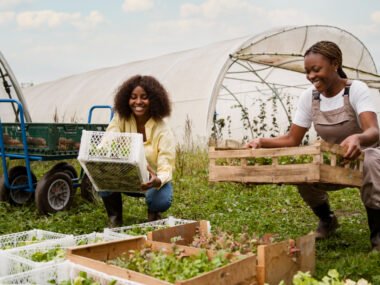 Unskilled Agriculture Labourer Jobs in the UK