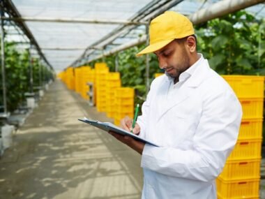 Australia’s agricultural sector is thriving, and there has never been a better time to consider a career in farming management. One of the most rewarding opportunities available is the position of Assistant Farm Manager. This role is not only crucial for the smooth operation of agricultural businesses but also offers fantastic perks like free visa sponsorship and competitive salaries starting from $70,000 per year. If you’re interested in stepping into the world of farm management in Australia, this detailed guide will cover everything you need to know about the job, the qualifications required, the salary expectations, and how to apply. Whether you're an experienced professional or just starting your career in agriculture, these high-rewarding farm manager assistant jobs are waiting for you. What Are Farm Manager Assistant Jobs in Australia? An Assistant Farm Manager plays a key role in helping to manage and coordinate daily farm operations. This includes overseeing the planting, harvesting, livestock care, machinery maintenance, and staff management. It’s a role that requires a mix of leadership, technical knowledge, and hands-on experience in agriculture. In Australia, farm management is essential to ensuring the success of agricultural operations, whether it’s crop production or livestock management. With the demand for skilled workers in the agricultural sector growing, there is a strong need for Assistant Farm Managers to step in and take charge of day-to-day tasks. Benefits of Farm Manager Assistant Jobs in Australia There are many advantages to working as an Assistant Farm Manager in Australia, especially for international workers seeking long-term career opportunities. Here are some of the most significant benefits: Visa Sponsorship Opportunities: Many Australian employers offer free visa sponsorship to international candidates, enabling you to work in the country legally while gaining valuable experience. Competitive Salaries: Depending on your experience and location, you can earn anywhere from $70,000 to $110,000 annually as an Assistant Farm Manager. Pathway to Permanent Residency: These positions may qualify you for permanent residency in Australia through skilled worker programs like the Regional Sponsored Migration Scheme (RSMS). Skill Development: On the job, you’ll gain practical experience in modern farming techniques, machinery operation, and farm management. Work-Life Balance: Many rural farming locations offer a relaxed lifestyle, with flexible work hours and a lower cost of living compared to major cities. Family Inclusion: Visa sponsorship often extends to your family, allowing them to access Australia’s healthcare and education systems. Job Security: The agricultural sector in Australia is booming, and the demand for skilled workers like farm managers and assistants continues to rise. Key Responsibilities of an Assistant Farm Manager As an Assistant Farm Manager, your job responsibilities will include overseeing various aspects of the farm’s operations, including: Managing Farm Operations: This involves ensuring the smooth running of day-to-day farm activities, including planting, harvesting, irrigation, and animal care. Staff Supervision: You will be responsible for managing farm workers, delegating tasks, and ensuring that everything is completed efficiently and safely. Financial Management: Assisting with budgeting and financial planning for the farm’s operations, including resource allocation and cost control. Machinery Operation: Using farm machinery to plant, harvest, and manage crops or livestock. Regulatory Compliance: Ensuring that the farm complies with local and national agricultural laws and environmental regulations. Reporting and Documentation: Keeping accurate records of farm activities, financial reports, and production data. Salary Expectations for Farm Manager Assistants in Australia The salary for Assistant Farm Manager jobs in Australia can vary based on factors such as location, experience, and the type of farm. However, the general salary ranges are as follows: Entry-Level: For candidates with less experience or those just starting in farm management, the salary ranges between $60,000 to $70,000 per year. Mid-Level: Assistant Farm Managers with a few years of experience typically earn between $75,000 and $90,000 annually. Experienced Professionals: For highly experienced Assistant Farm Managers, salaries can go as high as $90,000 to $110,000 per year. These figures make the position highly attractive, especially when factoring in the cost of living in rural areas, which is generally lower than in major cities. Types of Farms That Hire Assistant Farm Managers Australia has a diverse agricultural sector, and there are several types of farms that hire Assistant Farm Managers. Each type of farm has its own unique set of challenges and responsibilities. Here are the most common types: Cereal Farms: These farms focus on growing crops such as wheat, barley, and oats. Livestock Farms: These farms raise animals like cattle, sheep, and poultry. Mixed Farms: These farms combine crop production and livestock management. Specialized Farms: These farms focus on producing a single type of product, such as dairy, wine, or fruit. Each type of farm offers unique learning opportunities and the chance to specialize in specific agricultural techniques. How to Apply for Farm Manager Assistant Jobs in Australia Applying for a Farm Manager Assistant job in Australia is relatively straightforward, but there are a few important steps to follow: Research Job Listings: Start by researching job listings on popular job boards and websites that feature agricultural vacancies. Be sure to look for positions that offer visa sponsorship. Update Your Resume: Ensure your resume highlights your relevant skills, such as farm management experience, leadership, and technical knowledge. Include any certifications or degrees in agriculture. Write a Strong Cover Letter: In your cover letter, explain why you’re a good fit for the position and express your enthusiasm for working in Australia’s agricultural sector. Submit Your Application: Apply online or directly through the employer’s website. Be sure to follow any specific instructions provided in the job posting. Prepare for Interviews: If selected for an interview, be ready to discuss your experience, qualifications, and why you’re interested in working in Australia. Top Job Boards to Find Farm Manager Assistant Jobs in Australia Here are seven highly relevant job boards where you can find Assistant Farm Manager positions with visa sponsorship in Australia: Seek.com.au: One of Australia’s largest job boards, Seek features a variety of farming and agriculture job listings, including those offering visa sponsorship. Jora.com.au: Another popular job board in Australia, Jora lists farming positions across various industries, including Assistant Farm Manager roles. Gumtree.com.au: Known for classified ads, Gumtree often has listings for farm management jobs in rural areas. Agricultural Job Boards (AgriJobs): A specialized job board for agricultural workers in Australia, AgriJobs offers a range of opportunities in farm management. Facebook Jobs: Many agricultural companies post openings for Assistant Farm Manager roles on Facebook, especially in farming groups or community pages. CareerOne.com.au: Another well-known job board in Australia, CareerOne features farming roles and other agriculture-related opportunities. Farm Jobs Australia: A dedicated job board for the Australian agricultural sector, Farm Jobs Australia has listings for farm managers, assistants, and other agricultural workers. Frequently Asked Questions (FAQs) 1. What qualifications do I need to become an Assistant Farm Manager in Australia? To qualify for an Assistant Farm Manager job in Australia, you generally need a diploma in agriculture, horticulture, or a related field. Some employers may accept relevant work experience in place of formal education. In addition, practical experience in farm management, animal husbandry, or machinery operation is highly valued. 2. Do I need to speak fluent English to work as a Farm Manager Assistant in Australia? While fluency in English is important, especially for communication with staff and compliance with safety regulations, many employers are willing to hire candidates with strong English skills or offer language support to help you adapt. 3. Can I bring my family with me on a visa sponsorship? Yes, many Australian visa sponsorships allow workers to bring their families. This typically includes access to Australia’s healthcare system and public education for children. 4. What is the cost of living in rural Australia for Farm Manager Assistants? The cost of living in rural Australia is generally lower than in major cities like Sydney or Melbourne. Housing is typically more affordable, and you may receive additional perks such as free accommodation or transportation from your employer. 5. How long does it take to get a visa for Farm Manager Assistant jobs in Australia? The process for obtaining a visa can take anywhere from a few weeks to several months, depending on the type of visa you are applying for and the specifics of the job offer. Working with a professional immigration agent can help streamline the process. 6. Are there opportunities for career advancement in farm management in Australia? Yes, many Assistant Farm Managers go on to become full-fledged Farm Managers or take on higher leadership roles in the agricultural sector. There are also opportunities to specialize in areas such as livestock management, crop production, or farm operations. 7. What type of work-life balance can I expect in rural farming areas in Australia? Rural areas often offer a more relaxed pace of life compared to cities. Work hours are generally flexible, and you may find that the cost of living is lower, contributing to a better overall work-life balance. 8. What is the work environment like on a farm in Australia? Working on a farm in Australia can be physically demanding, especially if you're working with livestock or large-scale crop production. However, it can also be very rewarding, offering hands-on experience and the opportunity to work in a dynamic, outdoor environment. Conclusion Farm Manager Assistant jobs in Australia provide an incredible opportunity for those looking to advance their careers in agriculture. With the added benefits of free visa sponsorship, competitive salaries, and the potential for permanent residency, this role is highly rewarding for both local and international workers. By following the steps outlined in this guide, you can secure a job in this thriving sector and enjoy a fulfilling career in one of the most essential industries in Australia. Ready to apply? Start searching for your dream job today and take the first step toward an exciting career as an Assistant Farm Manager in Australia! Farm manager assistant