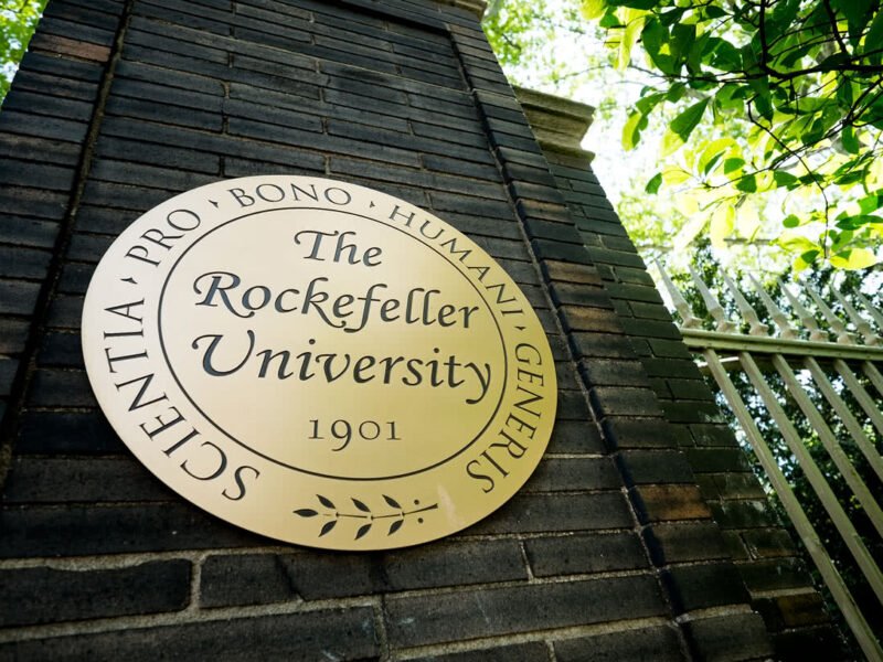 Rockefeller University USA